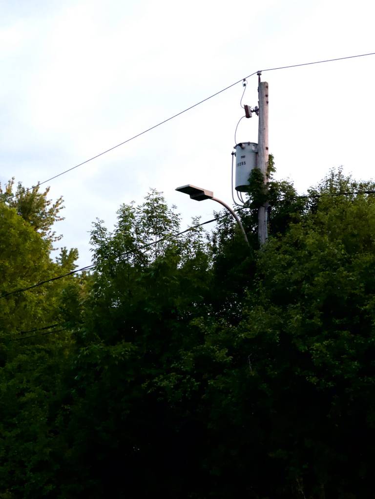 An image captures in RAW