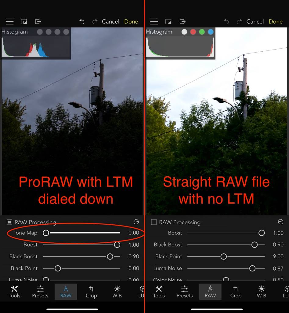ProRAW image with Local Tone Mapping turned off, compared to a regular RAW image.